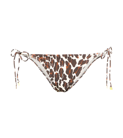 Tory Burch Tie-detail Animal-print High-rise Bikini Bottoms In Reva Leopard