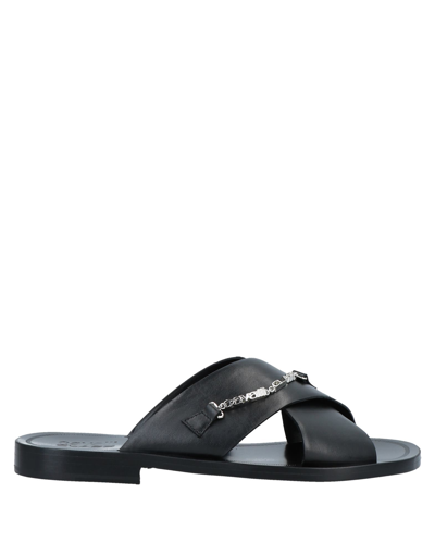 Cavalli Class Sandals In Black