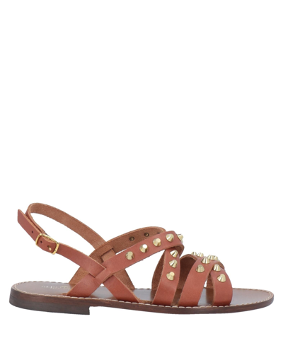 Rebel Queen By Liu •jo Sandals In Brown