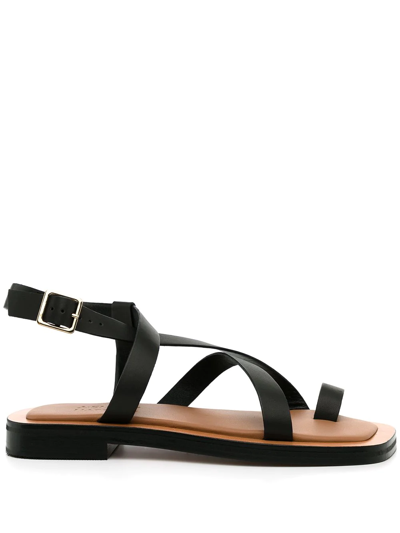 A.emery + Matteau Spargi Leather Sandals In Brown