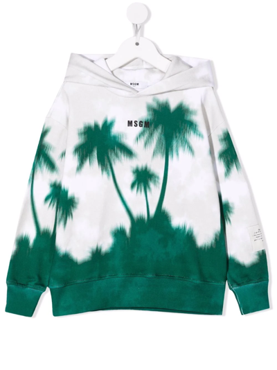 Msgm Kids' Palm Tree-print Hooded Sweatshirt In Green