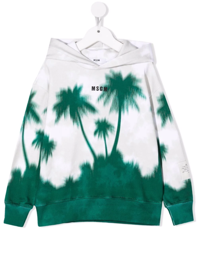 Msgm Kids' Palm Tree-print Hooded Sweatshirt In Neutrals