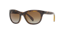 Ray Ban Ray In Polarized Brown Gradient