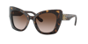 Dolce & Gabbana Dolce&gabbana Woman Sunglasses Dg4405 In Gradient Brown