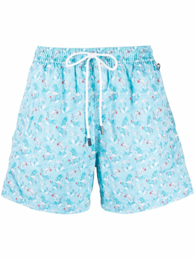 Fedeli Flamingo Print Swim Shorts In Blue