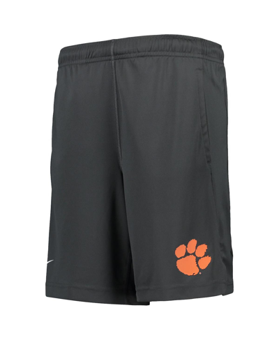 Nike Youth Boys  Anthracite Clemson Tigers Performance Fly Shorts