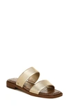 Sam Edelman Women's Haydee Strappy Slide Sandals Women's Shoes In Brown