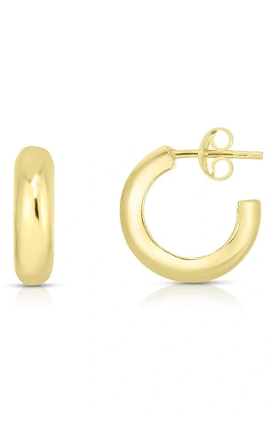 Sphera Milano 14k Yellow Gold Vermeil Hoop Earrings
