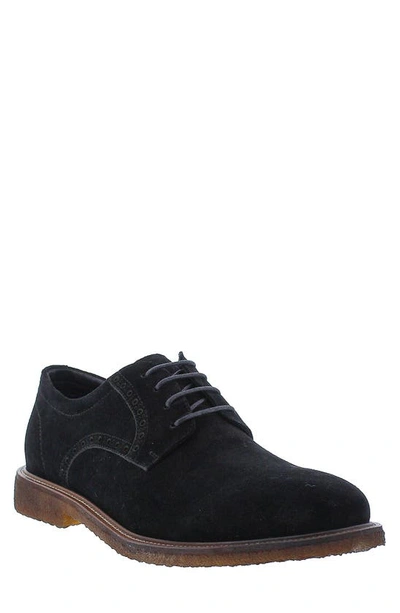 Zanzara Philipe Suede Derby In Black