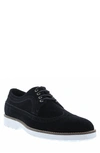 Zanzara Tiki Brogue Derby In Black