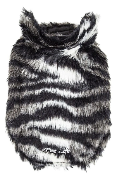 Pet Life Luxe 'chauffurry' Beautiful Designer Zebra Patterned Faux Fur Jacket In Black And Grey