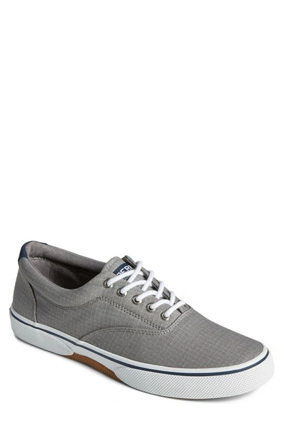 Sperry Top-sider Halyard Ripstop Sneaker In Grey