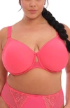 Elomi Charley Full Figure Spacer Underwire Bra In Honeysuckle