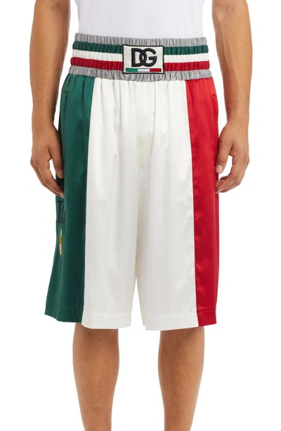 Dolce & Gabbana Logo Patch Colorblock Satin Shorts In Neutrals