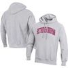 CHAMPION CHAMPION GRAY BETHUNE-COOKMAN WILDCATS TALL ARCH PULLOVER HOODIE