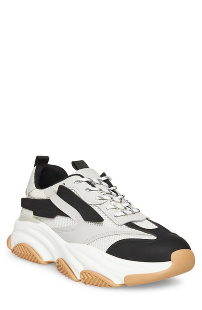 Steve Madden Possess Sneaker In Multi