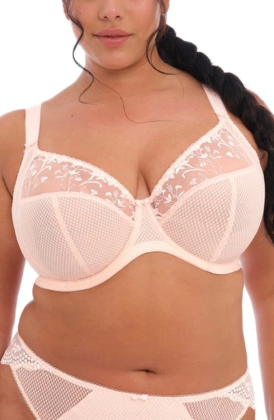 ELOMI CHARLEY FULL FIGURE UNDERWIRE PLUNGE BRA