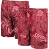 Colosseum Cardinal Arkansas Razorbacks The Dude Swim Shorts In Cardinal