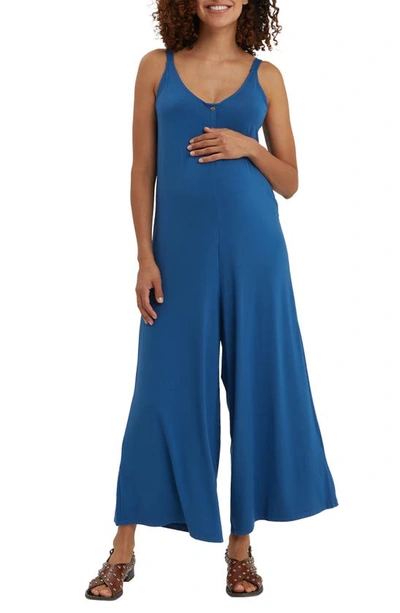 Nom Maternity Women's Chelsea Wide-leg Jumpsuit In Dusk Navy