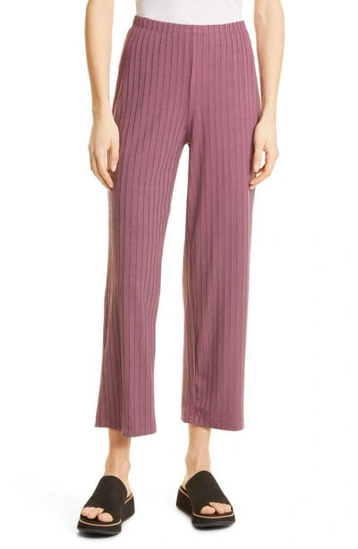 Eileen Fisher Ribbed Ankle Pant In Fig