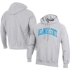 CHAMPION CHAMPION GRAY DELAWARE STATE HORNETS TALL ARCH PULLOVER HOODIE