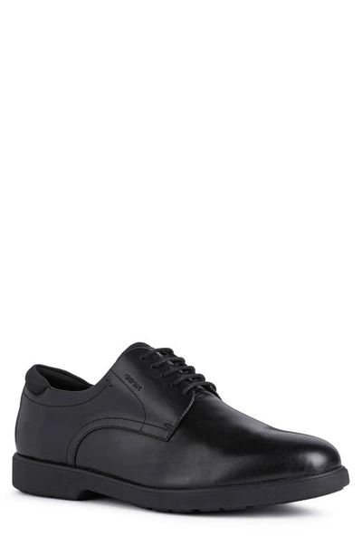 Geox Terence Derby Shoes In Black