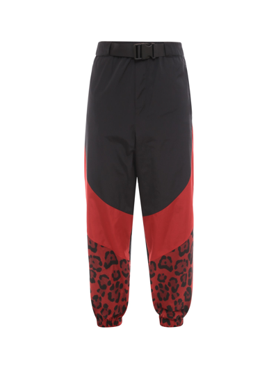 Dolce & Gabbana Nylon Jogging Pants With Leopard Print In Multi