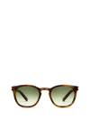 SAINT LAURENT SL 28 HAVANA SUNGLASSES