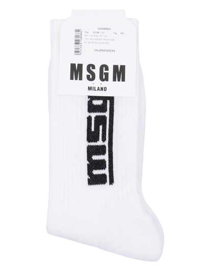 Msgm Socks In Black