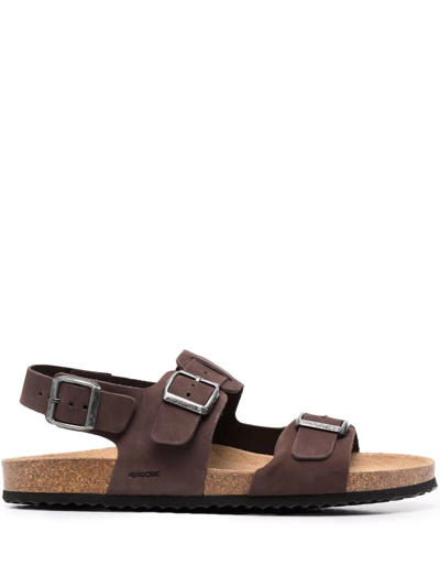Geox Ghita Leather Sandals In Brown