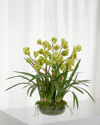 Ndi Orchid Cymbidium Moss Garden Faux-floral Arrangement In Glass Bowl, 40wx40dx35h