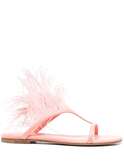 Pucci Feather-trim Slip-on Sandals In Salmon Pink