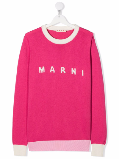 Marni Teen Logo-intarsia Cotton Jumper In Fuxia Magenta