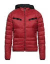 Yes Zee By Essenza Down Jackets In Red