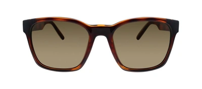 Ferragamo Sf 959s 214 Square Sunglasses In Brown