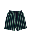 Kenzo Bermuda In Blue And Green Striped Sweatshirt In Blue