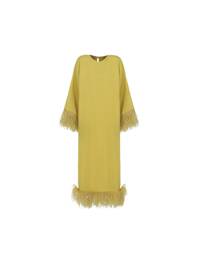 Valentino Feather-trimmed Silk-crepe Maxi Dress In Pale Avocado