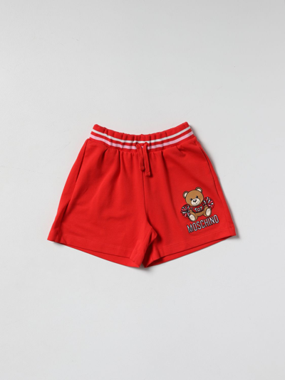 Moschino Kid Kids' Cotton Shorts With Teddy Bear In Red
