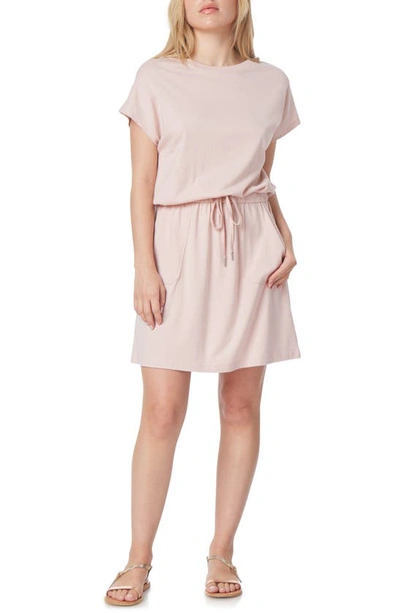 C&c California Barbara Dolman Sleeve Pocket Jersey Dress In Sepia Rose