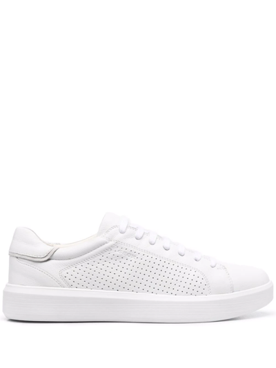 Geox Velletri Low-top Sneakers In White