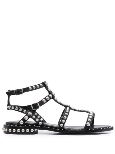 Ash Precious Stud Embellished Sandals In Black