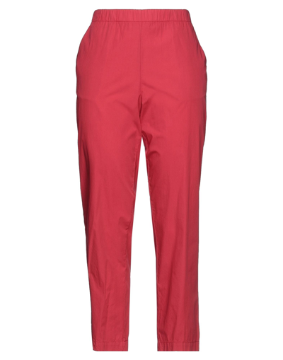 Kiltie Pants In Red