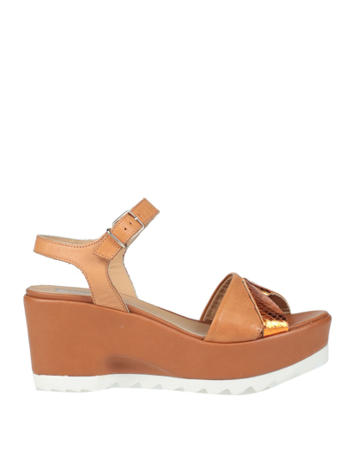 Donna Più Sandals In Brown