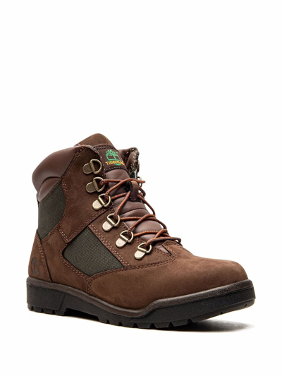 Timberland 6 Inch Field Boots In Brown