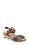 Naot Dynasty Wedge Sandal In Ink/ Soft Chestnut/ White