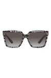 Dolce & Gabbana 56mm Square Sunglasses In Tiger Shark Ocearch