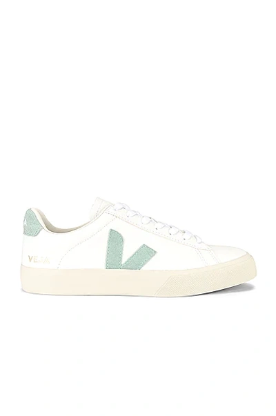 Veja Campo Sneaker In Extra White & Matcha
