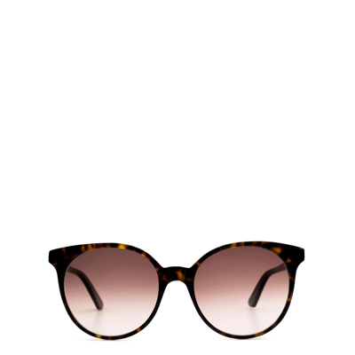 Gucci Gg0488s Dark Havana Female Sunglasses