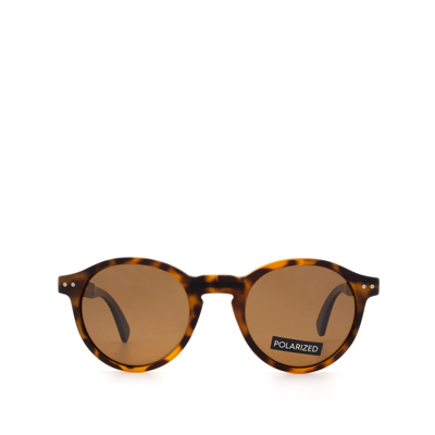Sun's Good The Oyster Sg05 C004-p Unisex Sunglasses