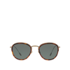 Giorgio Armani Ar6068 Red Havana Male Sunglasses